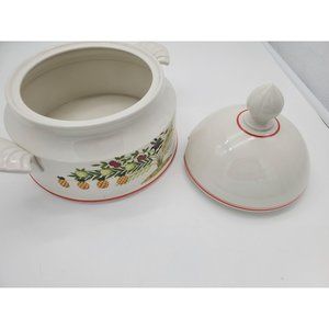 VIntage VIlleroy and Boch Apetito Porcelain Soup Tureen with Lid German Made